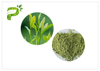 Порошок зеленого чая Matcha от листьев Sinensis камелии
