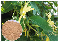 Анти- воспалительная выдержка цветка каприфолия, выдержка Джапоника Лонисера 5% хлорогеновая кисловочная