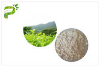 Анти- выдержка зеленого чая оксидации ЭГКГ, выдержка зеленого чая фармацевтической ранга естественная