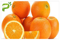 Порошок КАС 520 гесперидина Антиоксидатион выдержка Синенсис Аурантюм цитруса оранжевой выдержки 26 2