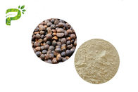Сапонины чая выдержки семени Абел естественной косметической камелии ингредиента Олайфера для эмульсора