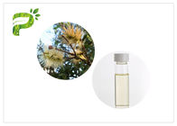 масло содержания несовершеннолетнего Мелалеука Каджупути масла ароматерапии эфирных масел дерева 50% до 60%