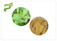 HPLC порошка здоровья зеленого цвета сетки 2.0ppm 60 с полифенолами более высокого чая