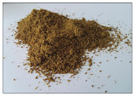 Порошок выдержки семени сельдерея порошка выдержки семени завода для подагры для пищевой добавки
