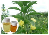 Масло первоцвета вечера пищевых добавок ГЛА 10% менопаузы женщин естественное желтое