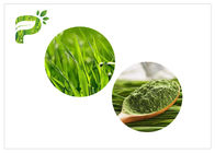 Извлекающ порошок зеленой травы порошка здоровья пигментацией зеленый сильно безопасный