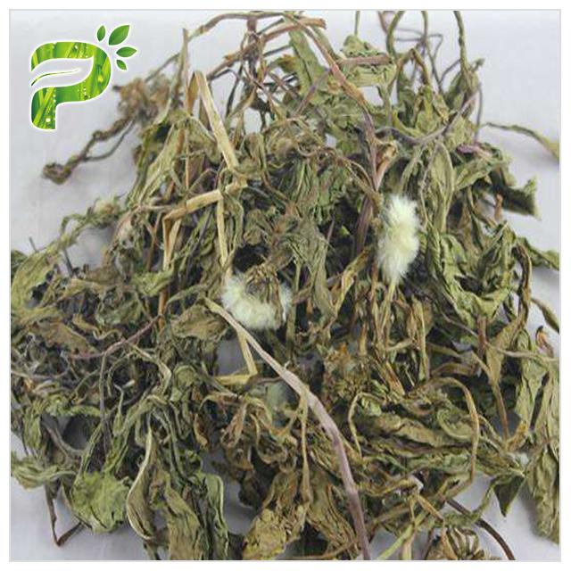 Корень китайских растений. Выдержка корень. Экстракт женьшеня. Корень женьшеня. Корень мака.