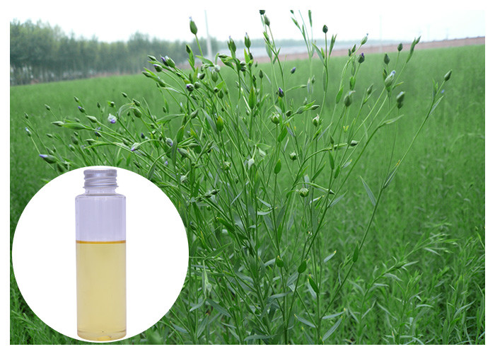 Масло льняного семени линоленовой кислоты альфы органическое, масло льняного семени дополняет 45 - 60%