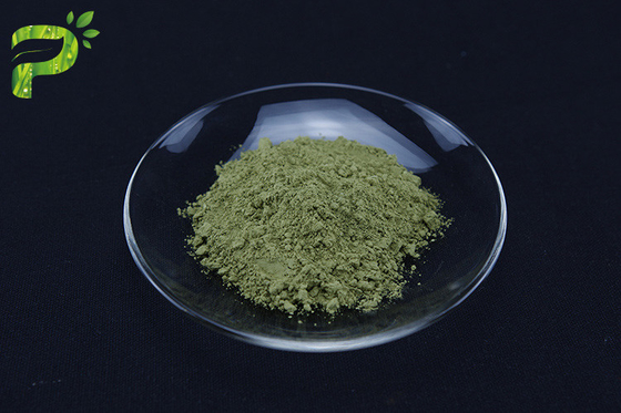 Порошок зеленого чая Matcha от листьев Sinensis камелии