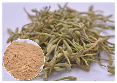 5%, 25% Lonicera japonica Экстракт цветочного порошка медвежьей розы